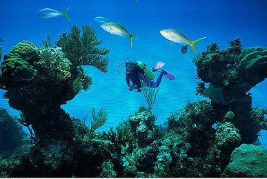 Site-13的大门已向你敞开，《挣脱：十三号站点》全新Demo亮相Steam新品节